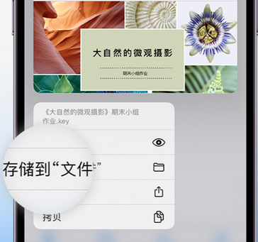 老边apple维修中心分享iPhone文件应用中存储和找到下载文件