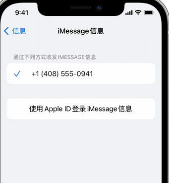 老边apple维修iPhone上无法正常发送iMessage信息 