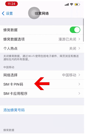 老边苹果14维修网分享如何给iPhone14的SIM卡设置密码 