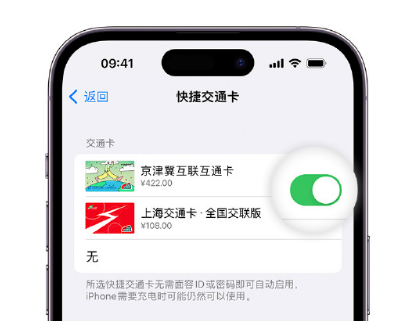 老边apple维修点分享iPhone上更换Apple Pay快捷交通卡手绘卡面 