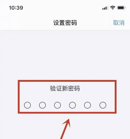 老边苹果手机维修分享:如何安全的使用iPhone14？iPhone14解锁方法 