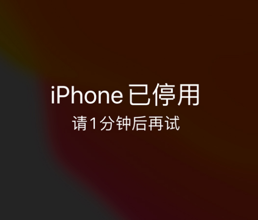 老边苹果手机维修分享:iPhone 显示“不可用”或“已停用”怎么办？还能保留数据吗？ 