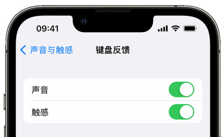 老边苹果手机维修分享iPhone 14触感键盘使用方法 