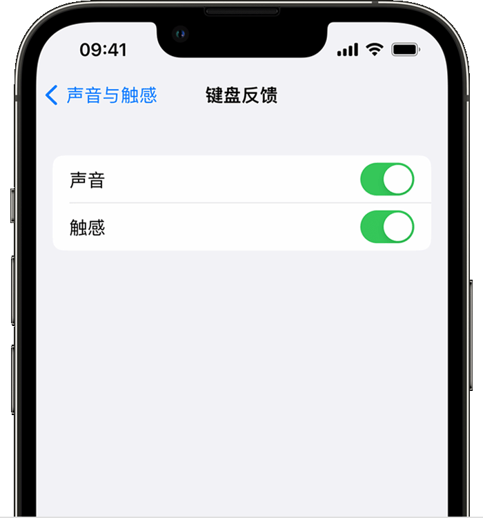 老边苹果14维修店分享如何在 iPhone 14 机型中使用触感键盘 