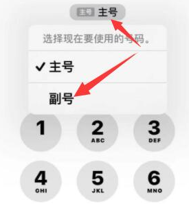 老边苹果14维修店分享iPhone 14 Pro Max使用副卡打电话的方法 