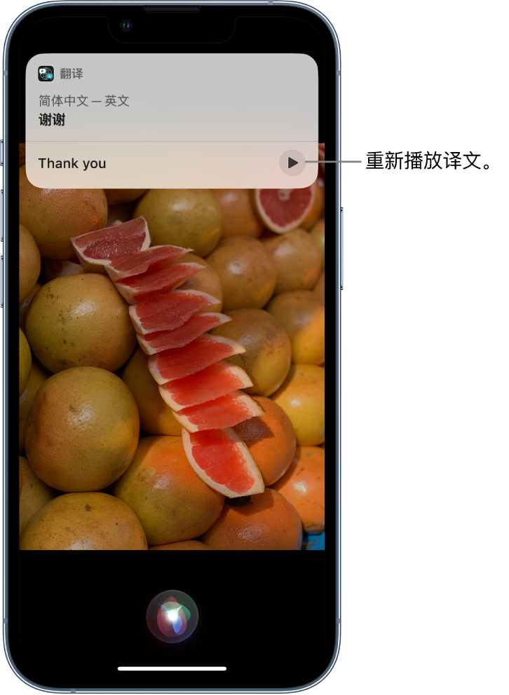 老边苹果14维修分享 iPhone 14 机型中使用 Siri：了解 Siri 能帮你做什么 