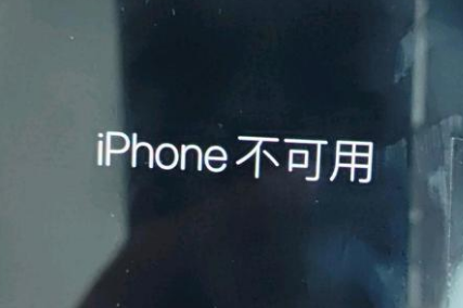 老边苹果服务网点分享锁屏界面显示“iPhone 不可用”如何解决 