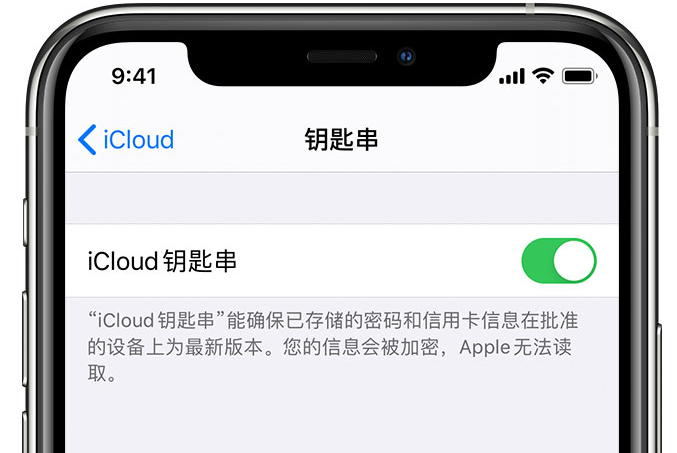 老边苹果手机维修分享在 iPhone 上开启 iCloud 钥匙串之后会储存哪些信息 