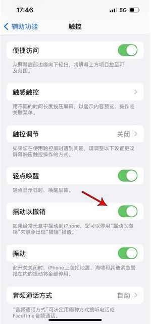 老边苹果手机维修分享iPhone手机如何设置摇一摇删除文字 